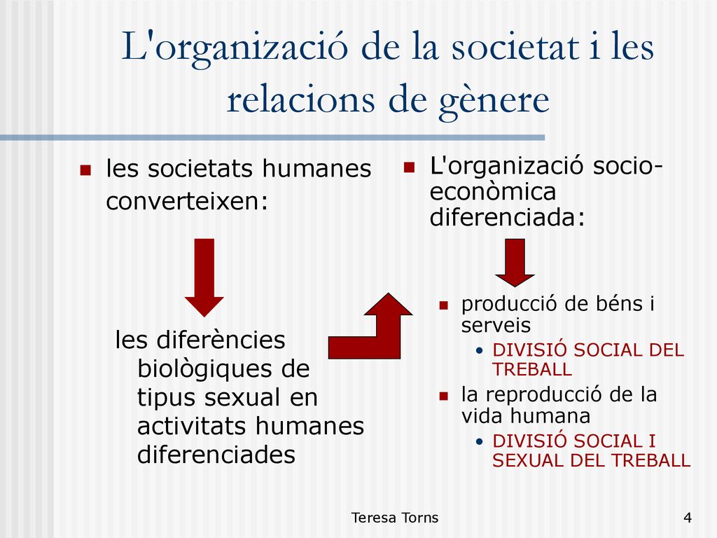 L organizació de la societat i les relacions de gènere