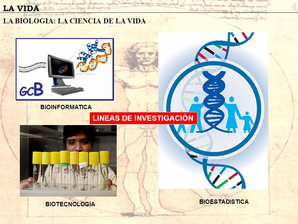 LA VIDA LA BIOLOGIA: LA CIENCIA DE LA VIDA LINEAS DE INVESTIGACIÓN
