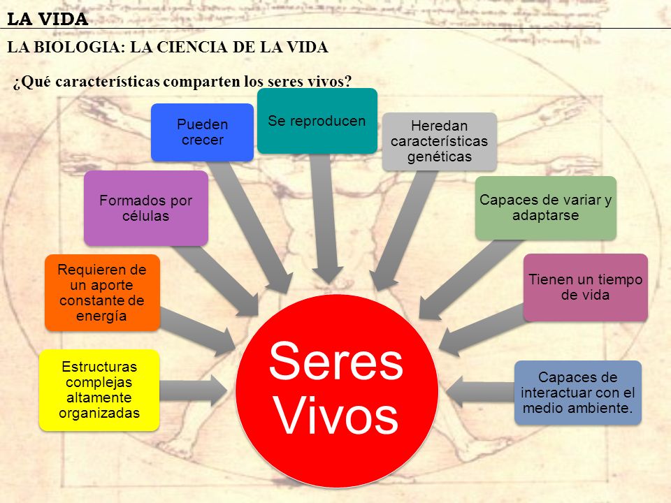 Seres Vivos LA VIDA LA BIOLOGIA: LA CIENCIA DE LA VIDA