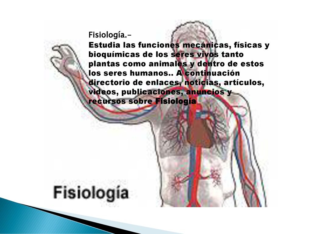 Fisiología.- Estudia las funciones mecánicas, físicas y bioquímicas de los seres vivos tanto plantas como animales y dentro de estos los seres humanos.. A continuación directorio de enlaces, noticias, artículos, videos, publicaciones, anuncios y recursos sobre Fisiología