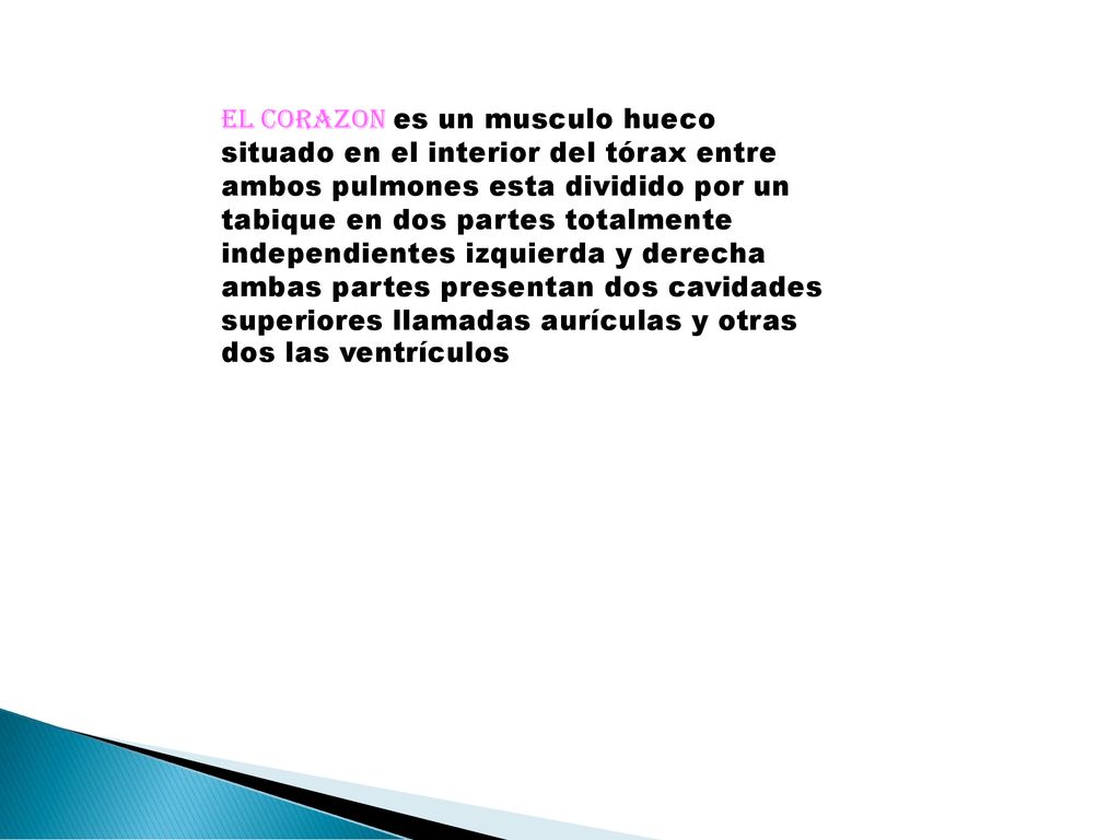 EL CORAZON es un musculo hueco situado en el interior del tórax entre ambos pulmones esta dividido por un tabique en dos partes totalmente independientes izquierda y derecha ambas partes presentan dos cavidades superiores llamadas aurículas y otras dos las ventrículos
