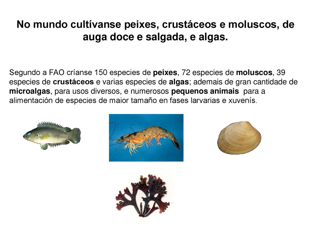 No mundo cultívanse peixes, crustáceos e moluscos, de auga doce e salgada, e algas.