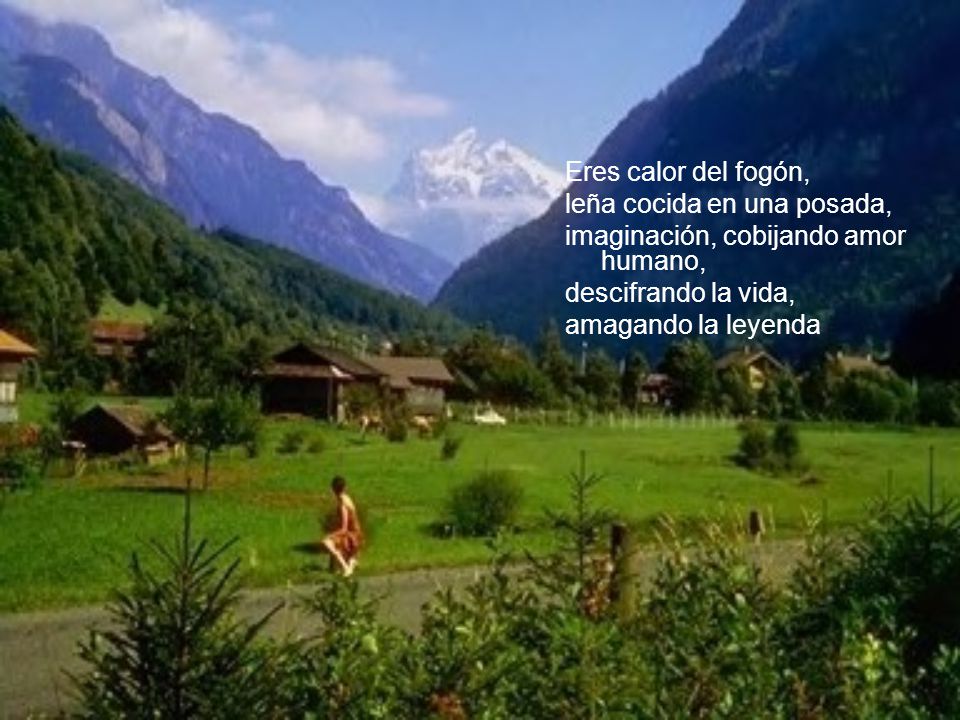 Eres calor del fogón, leña cocida en una posada, imaginación, cobijando amor humano, descifrando la vida,