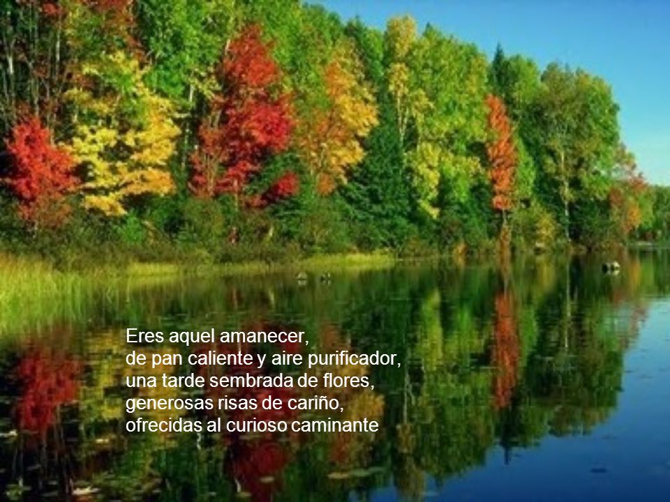 Eres aquel amanecer, de pan caliente y aire purificador, una tarde sembrada de flores, generosas risas de cariño,