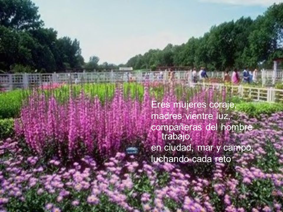 Eres mujeres coraje, madres vientre luz, compañeras del hombre trabajo, en ciudad, mar y campo, luchando cada reto.