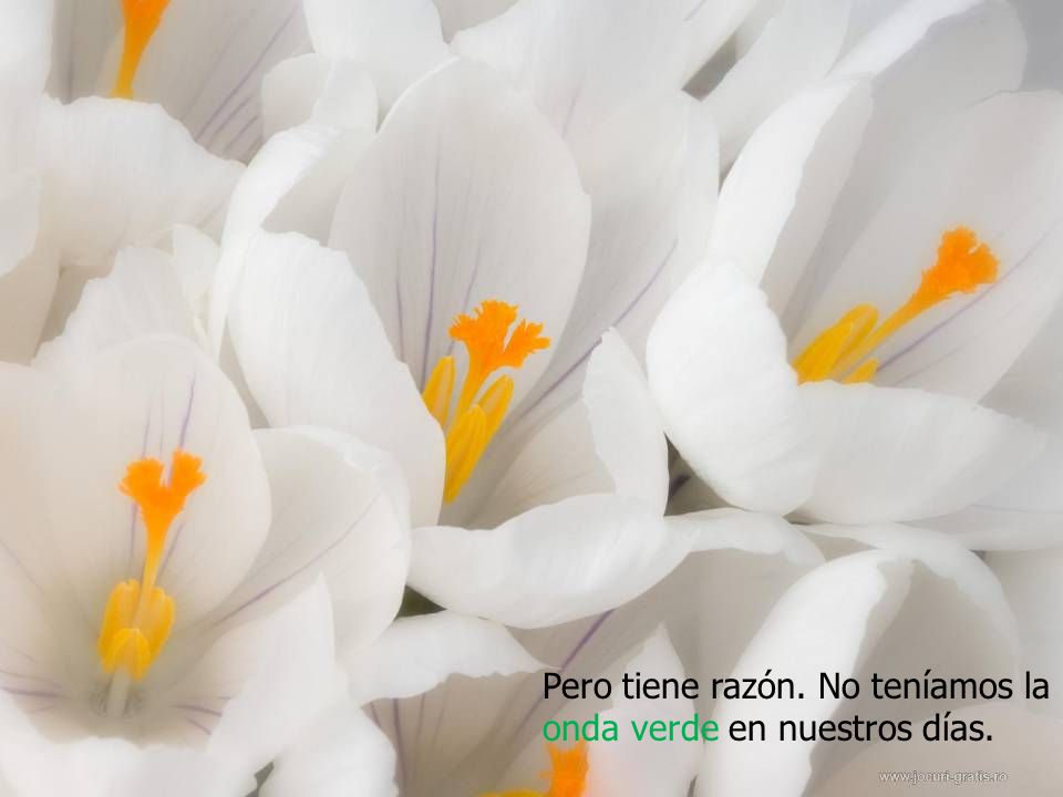 Pero tiene razón. No teníamos la onda verde en nuestros días.