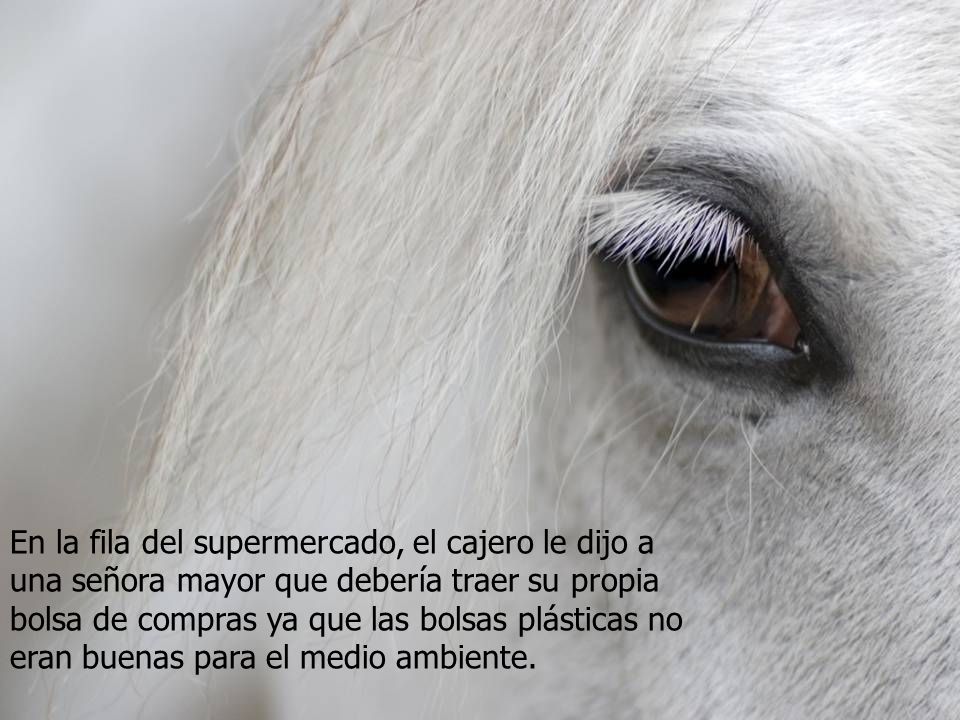 En la fila del supermercado, el cajero le dijo a una señora mayor que debería traer su propia bolsa de compras ya que las bolsas plásticas no eran buenas para el medio ambiente.