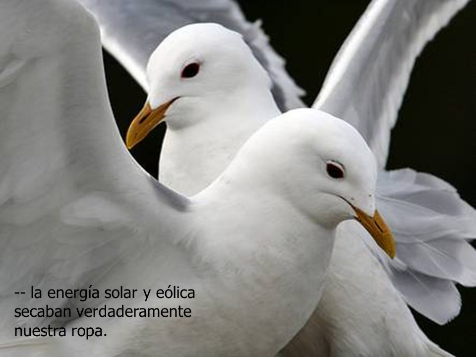 -- la energía solar y eólica secaban verdaderamente nuestra ropa.