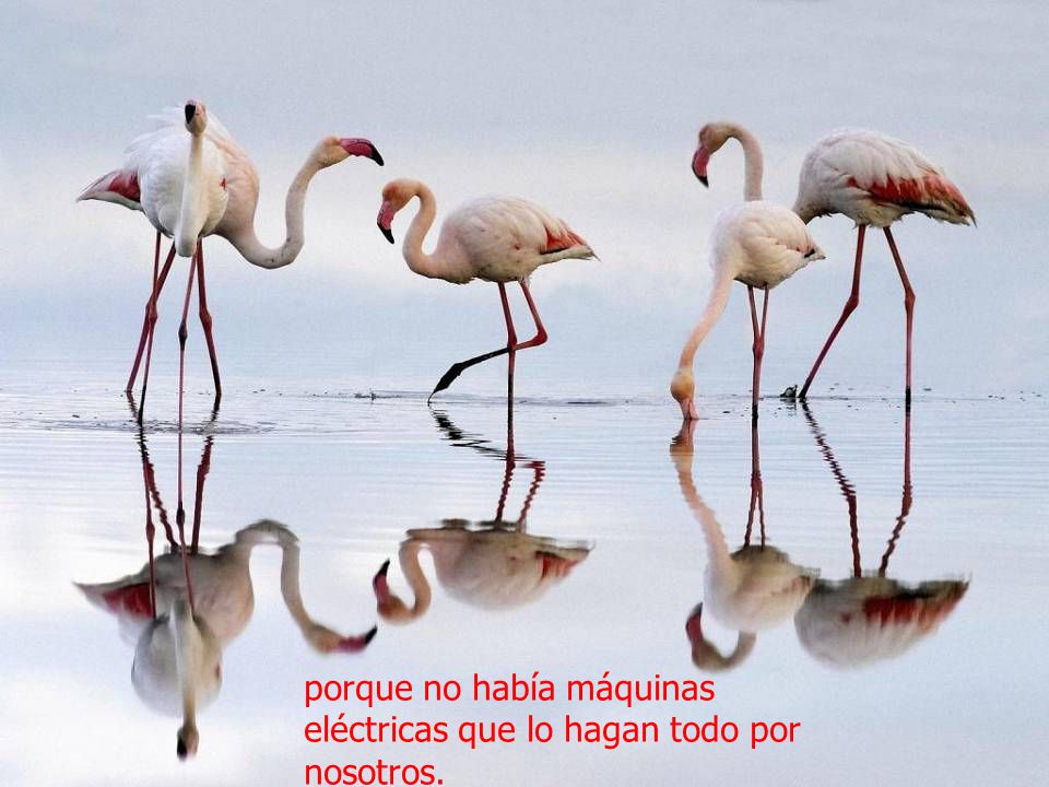 porque no había máquinas eléctricas que lo hagan todo por nosotros.