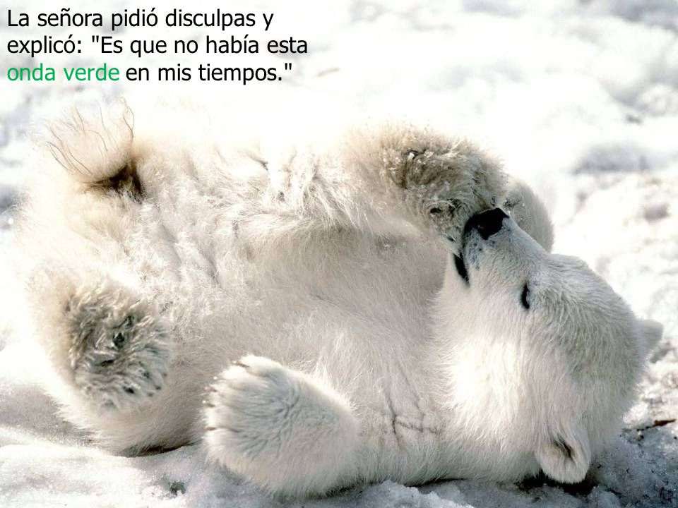 La señora pidió disculpas y explicó: Es que no había esta onda verde en mis tiempos.