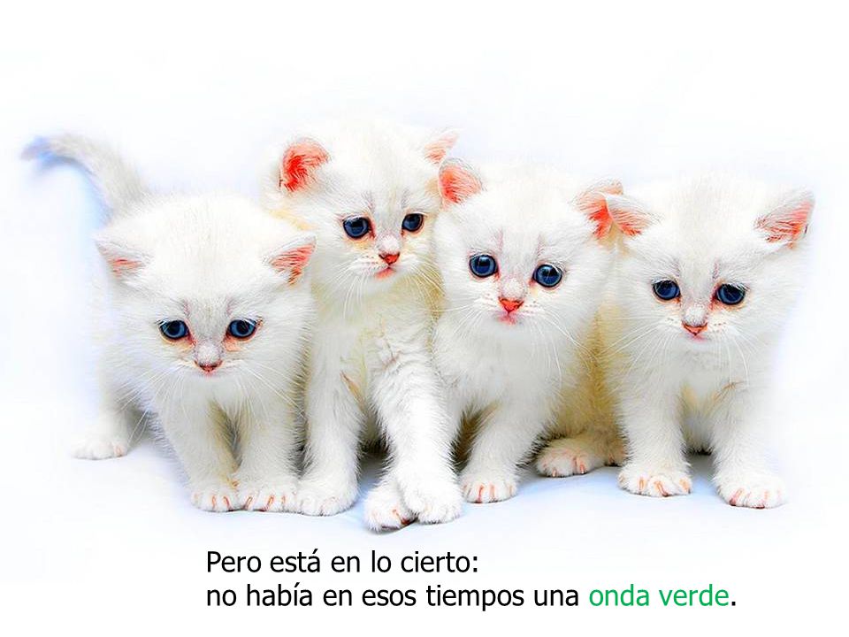Pero está en lo cierto: no había en esos tiempos una onda verde.