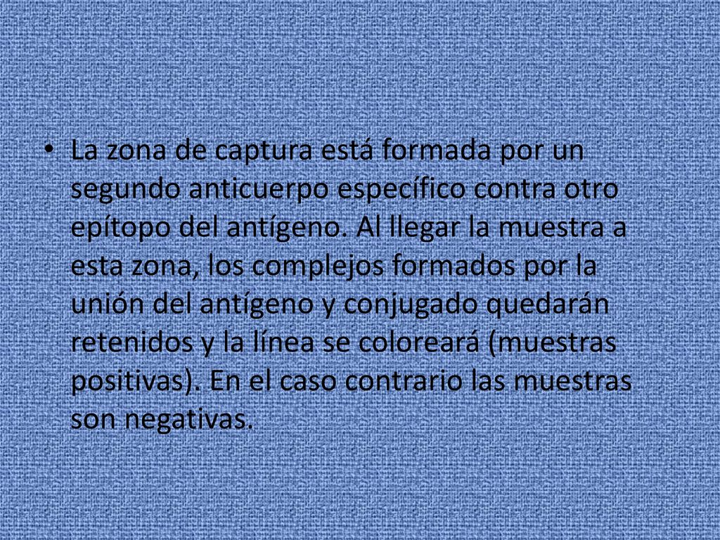 La zona de captura está formada por un segundo anticuerpo específico contra otro epítopo del antígeno.