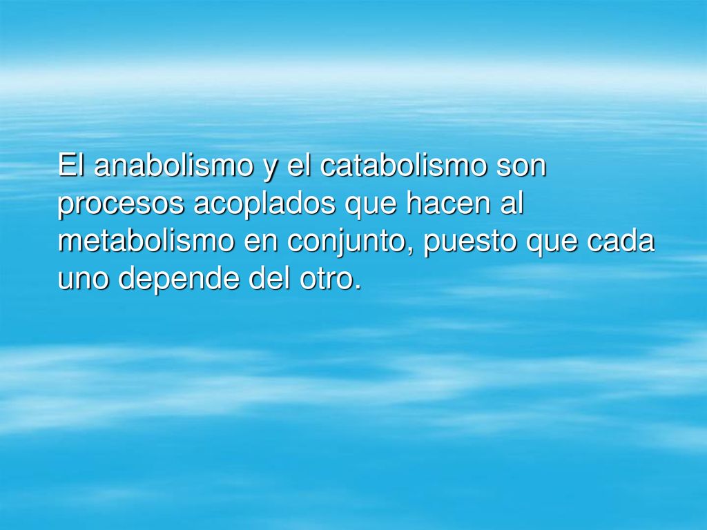 El anabolismo y el catabolismo son procesos acoplados que hacen al metabolismo en conjunto, puesto que cada uno depende del otro.