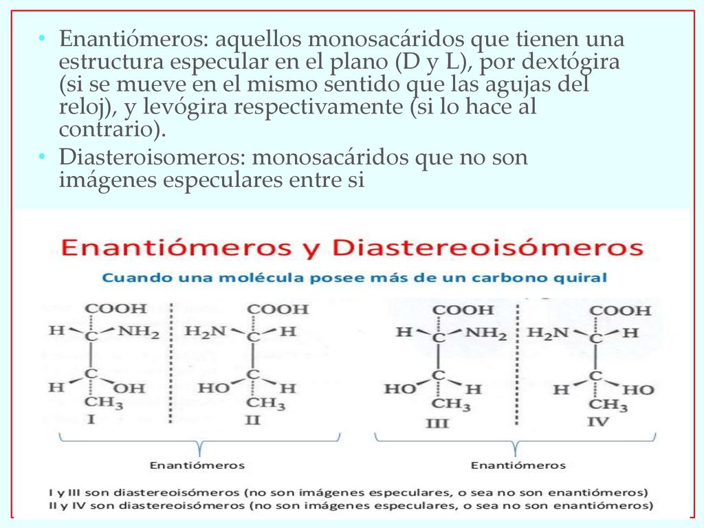 Enantiómeros: aquellos monosacáridos que tienen una estructura especular en el plano (D y L), por dextógira (si se mueve en el mismo sentido que las agujas del reloj), y levógira respectivamente (si lo hace al contrario).
