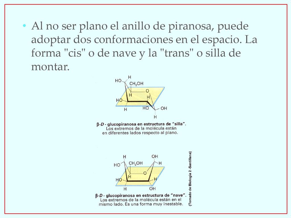 Al no ser plano el anillo de piranosa, puede adoptar dos conformaciones en el espacio.