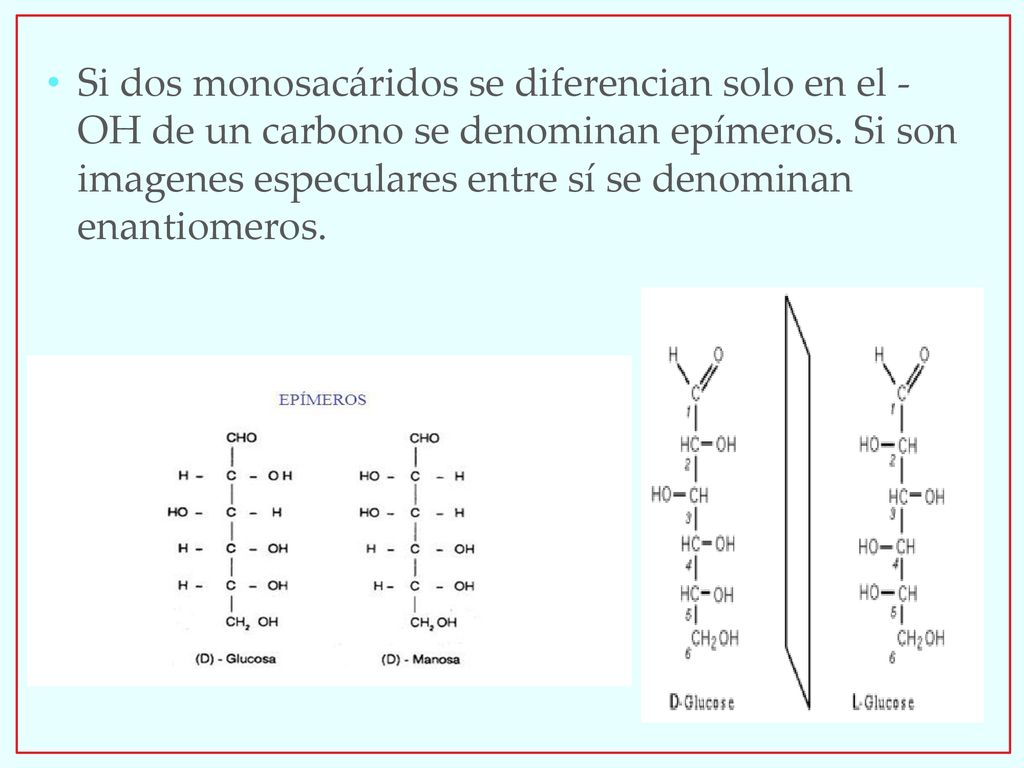 Si dos monosacáridos se diferencian solo en el -OH de un carbono se denominan epímeros.