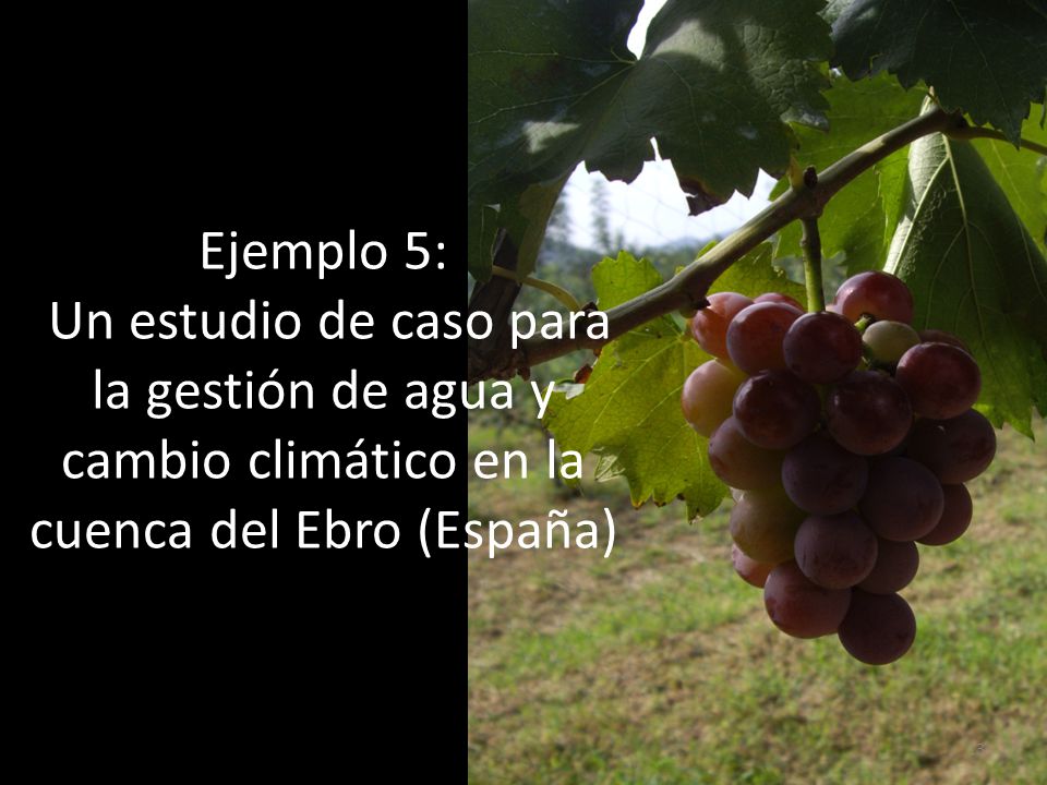 Ejemplo 5: Un estudio de caso para la gestión de agua y cambio climático en la cuenca del Ebro (España)