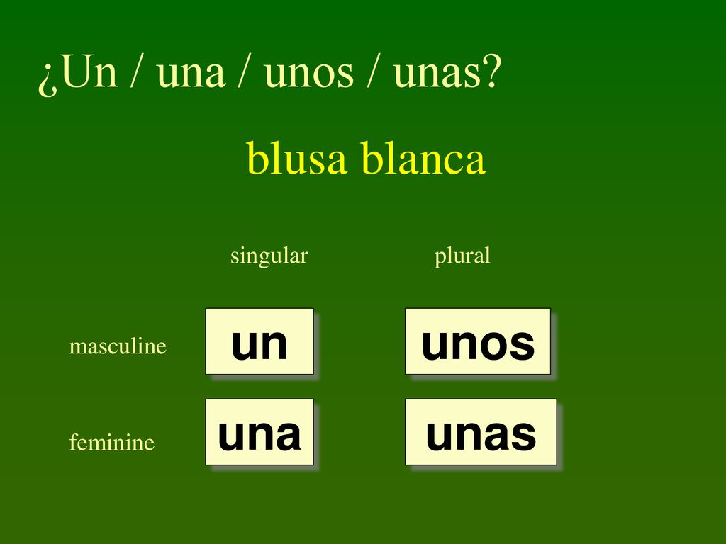 ¿Un / una / unos / unas blusa blanca un unos una unas singular plural