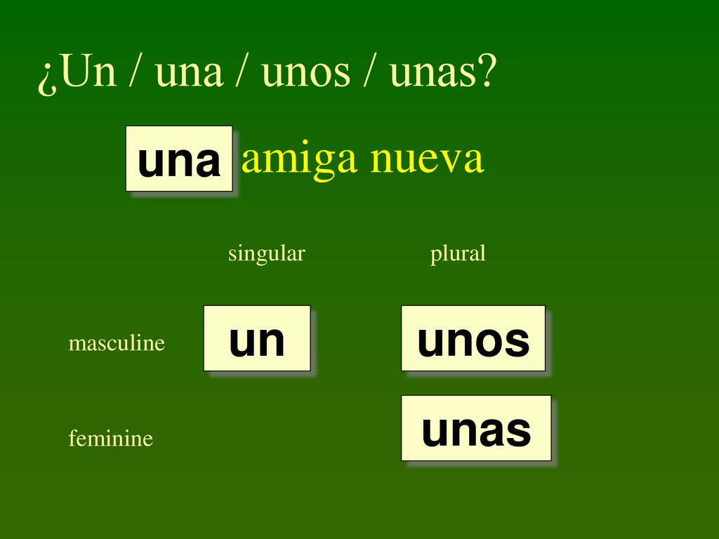 ¿Un / una / unos / unas amiga nueva una un unos unas singular plural