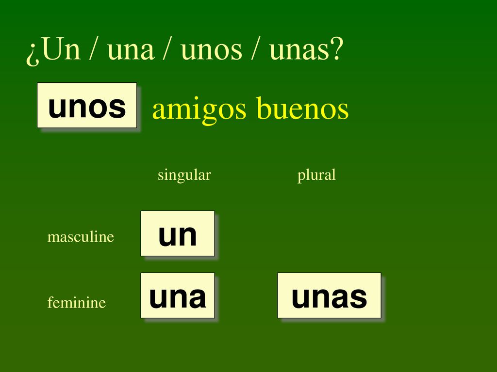¿Un / una / unos / unas amigos buenos unos un una unas singular