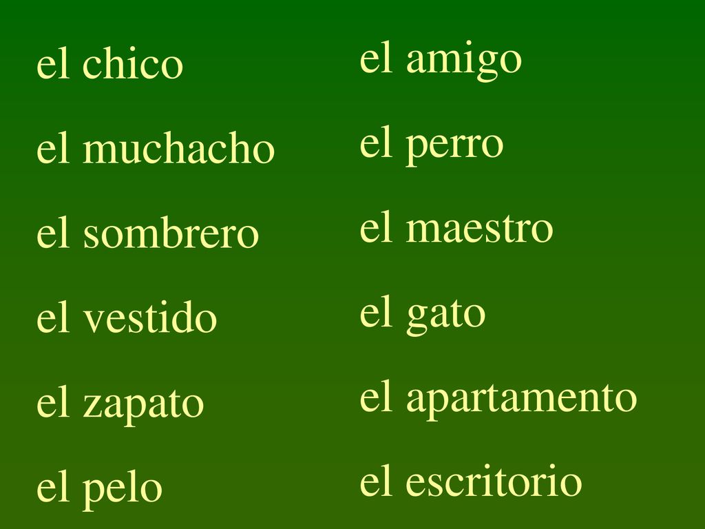 el amigo el perro. el maestro. el gato. el apartamento. el escritorio. el chico. el muchacho.