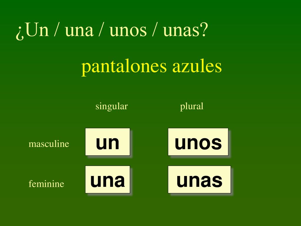 ¿Un / una / unos / unas pantalones azules un unos una unas singular