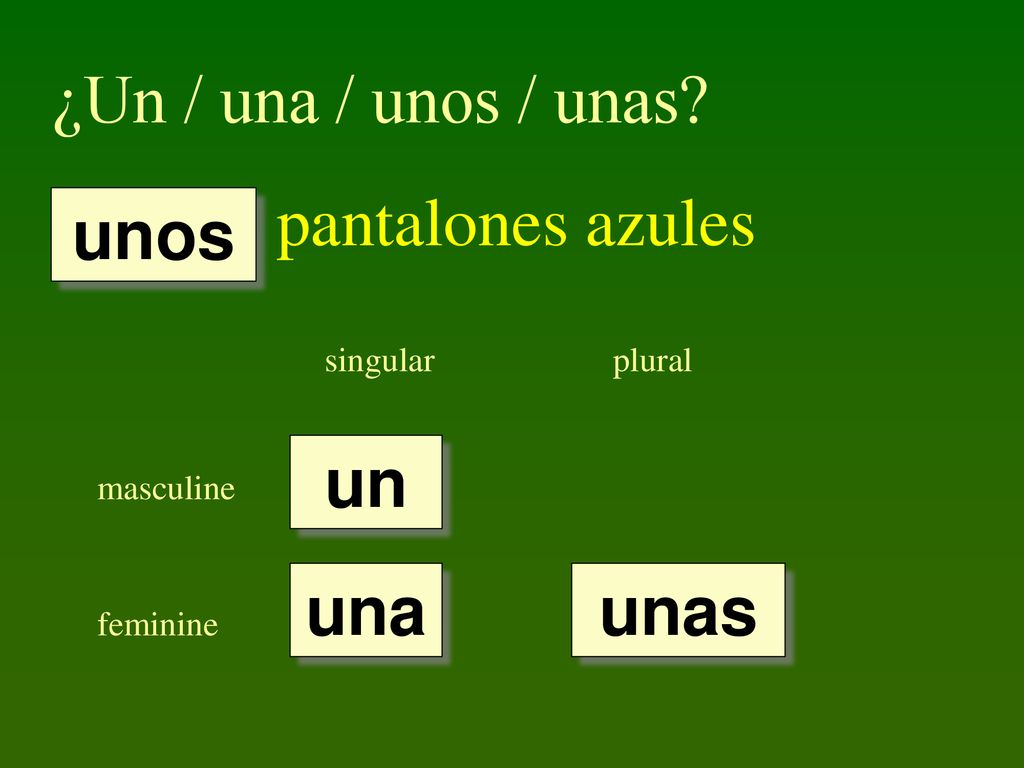 ¿Un / una / unos / unas pantalones azules unos un una unas singular