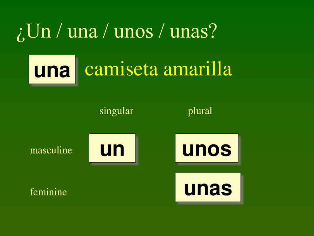 ¿Un / una / unos / unas camiseta amarilla una un unos unas singular