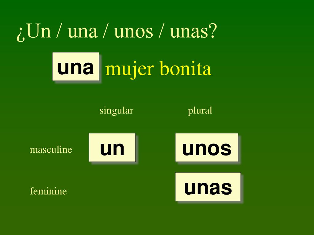 ¿Un / una / unos / unas mujer bonita una un unos unas singular plural