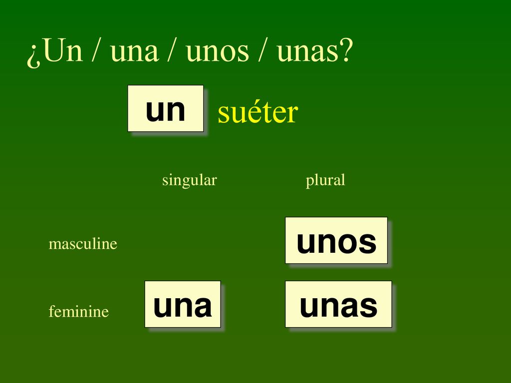 ¿Un / una / unos / unas suéter un unos una unas singular plural
