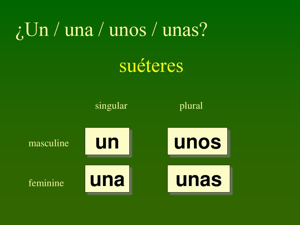 ¿Un / una / unos / unas suéteres un unos una unas singular plural
