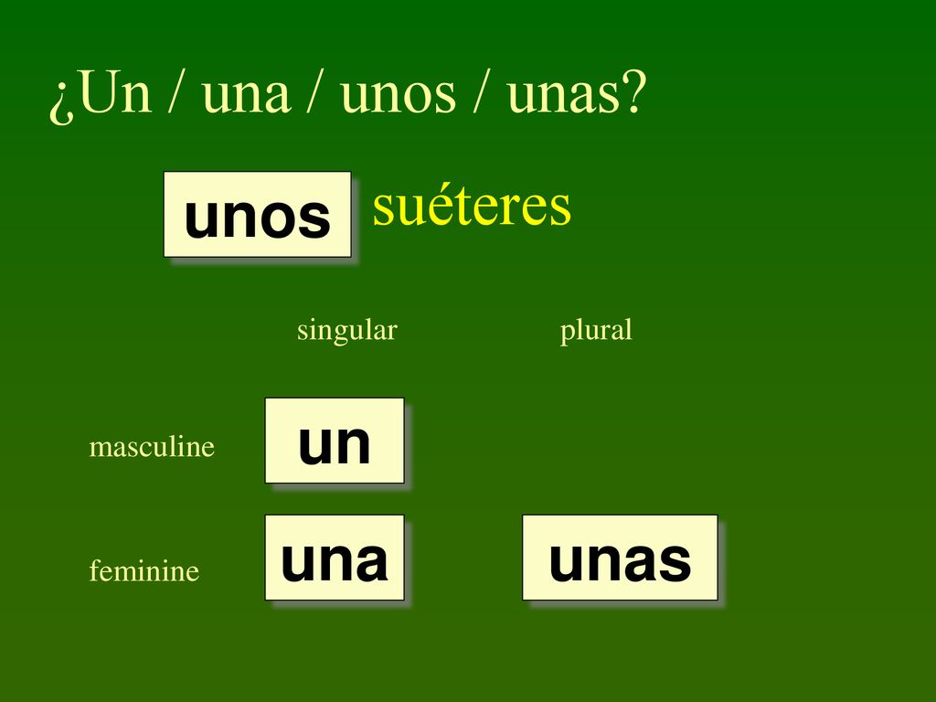 ¿Un / una / unos / unas suéteres unos un una unas singular plural
