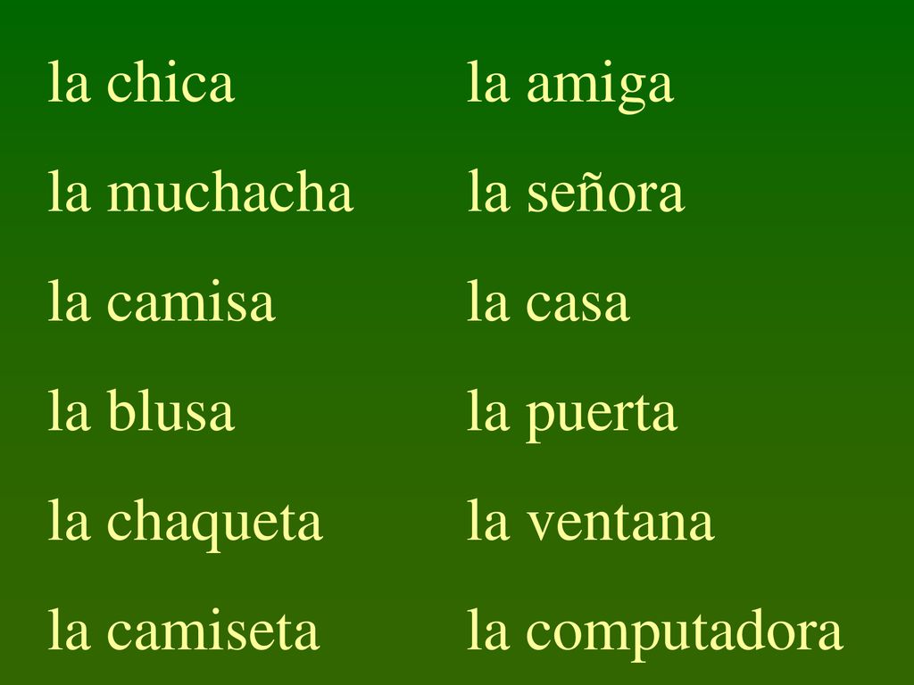 la chica la muchacha. la camisa. la blusa. la chaqueta. la camiseta. la amiga. la señora. la casa.