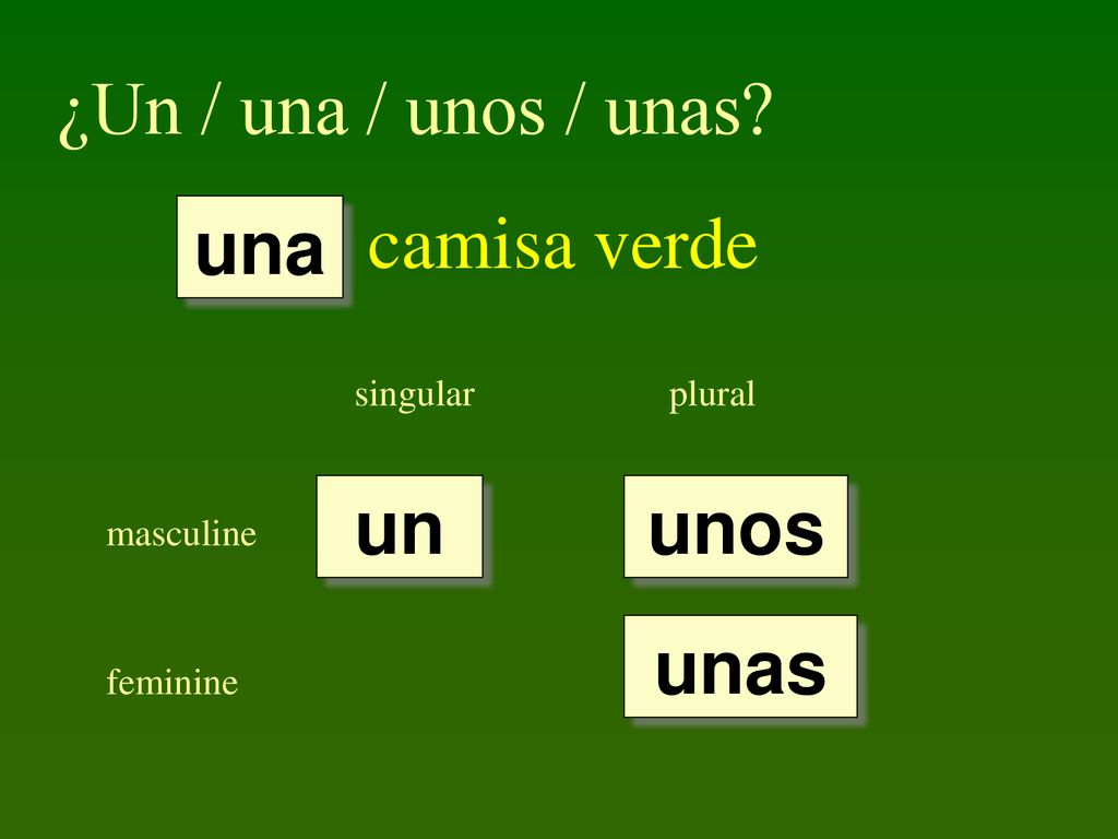 ¿Un / una / unos / unas camisa verde una un unos unas singular plural