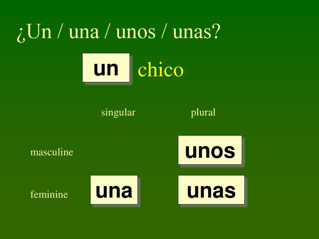 ¿Un / una / unos / unas chico un unos una unas singular plural