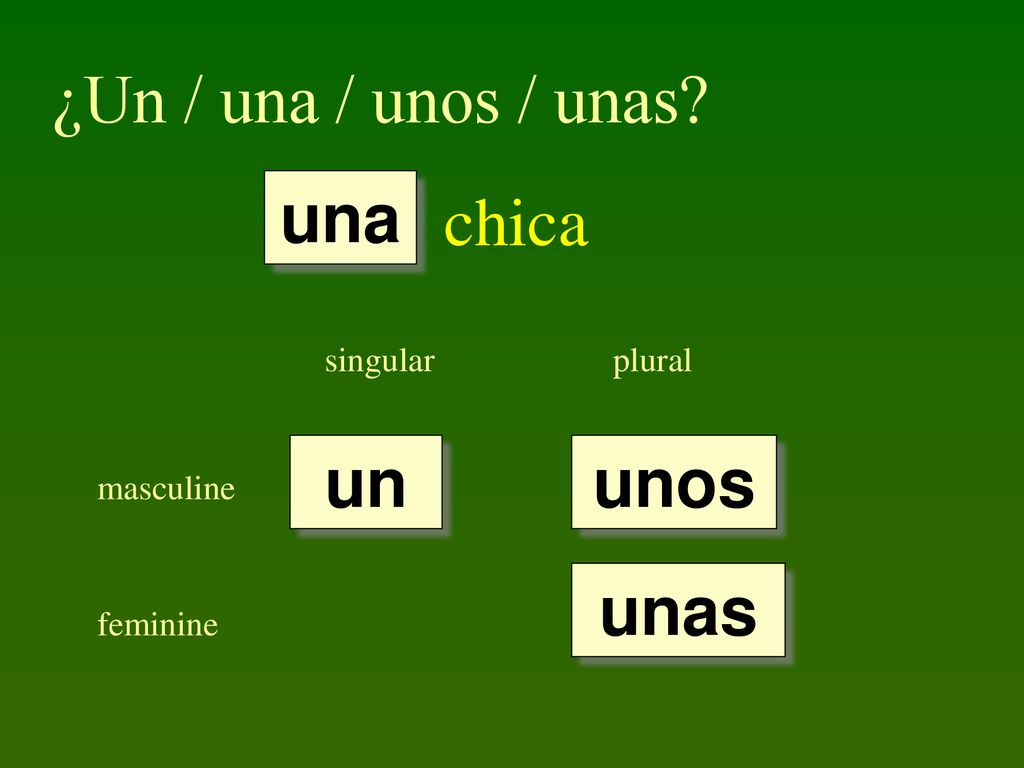 ¿Un / una / unos / unas chica una un unos unas singular plural