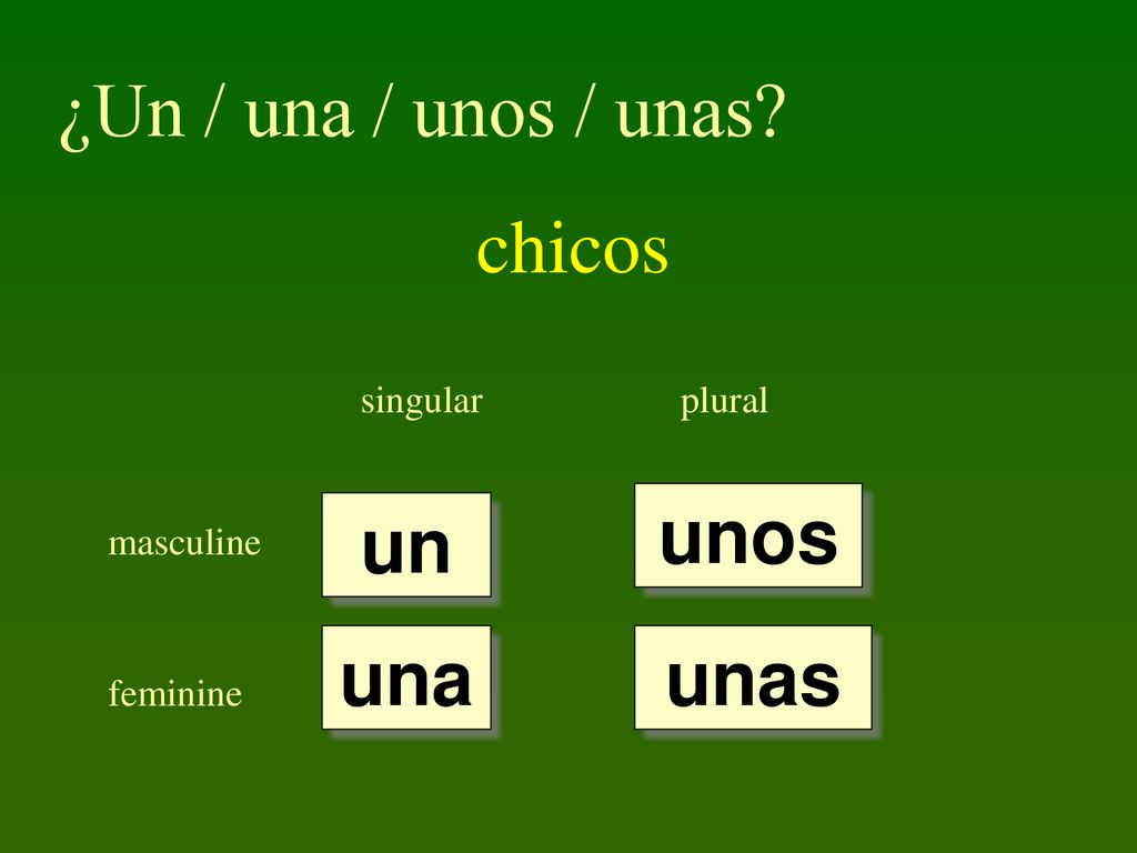 ¿Un / una / unos / unas chicos unos un una unas singular plural