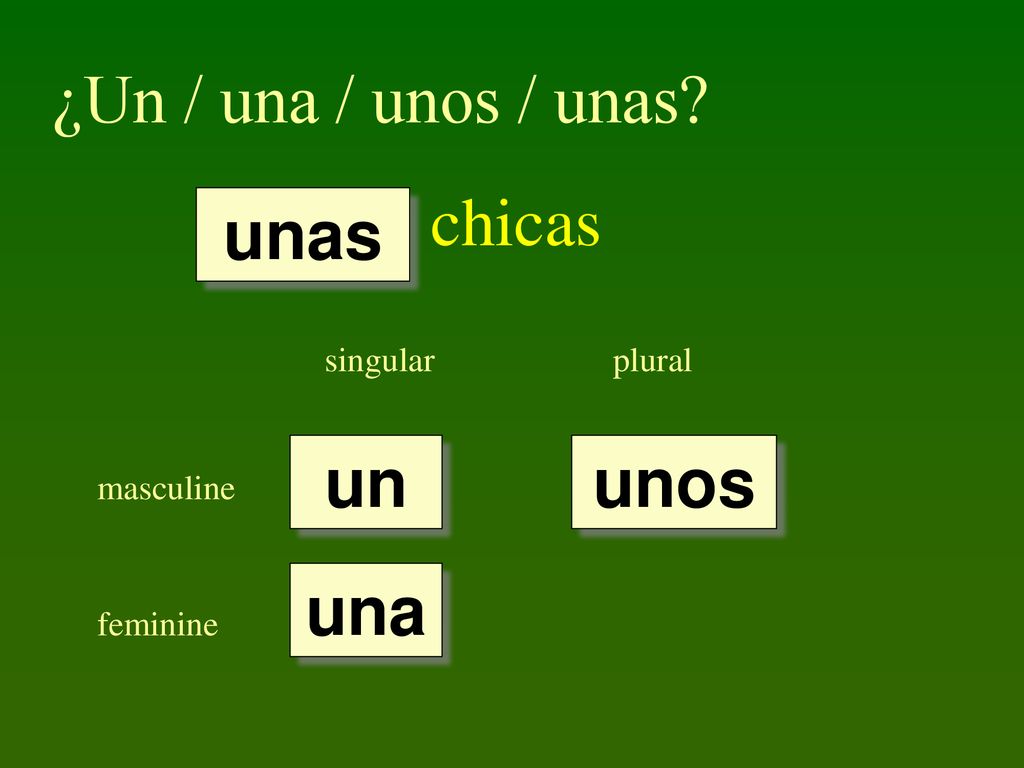 ¿Un / una / unos / unas chicas unas un unos una singular plural
