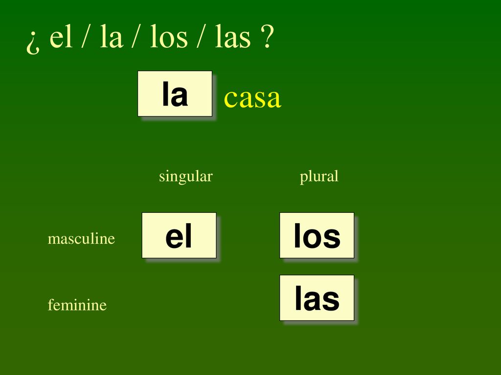 ¿ el / la / los / las casa la el los las singular plural masculine