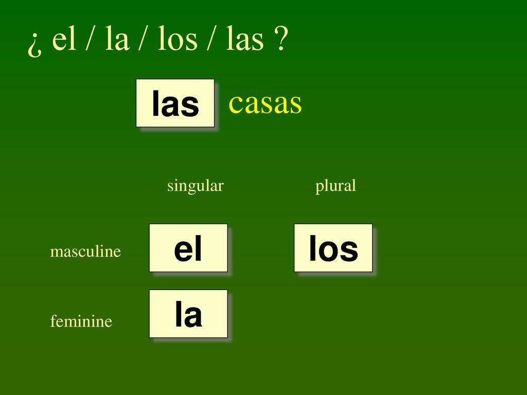 ¿ el / la / los / las casas las el los la singular plural masculine