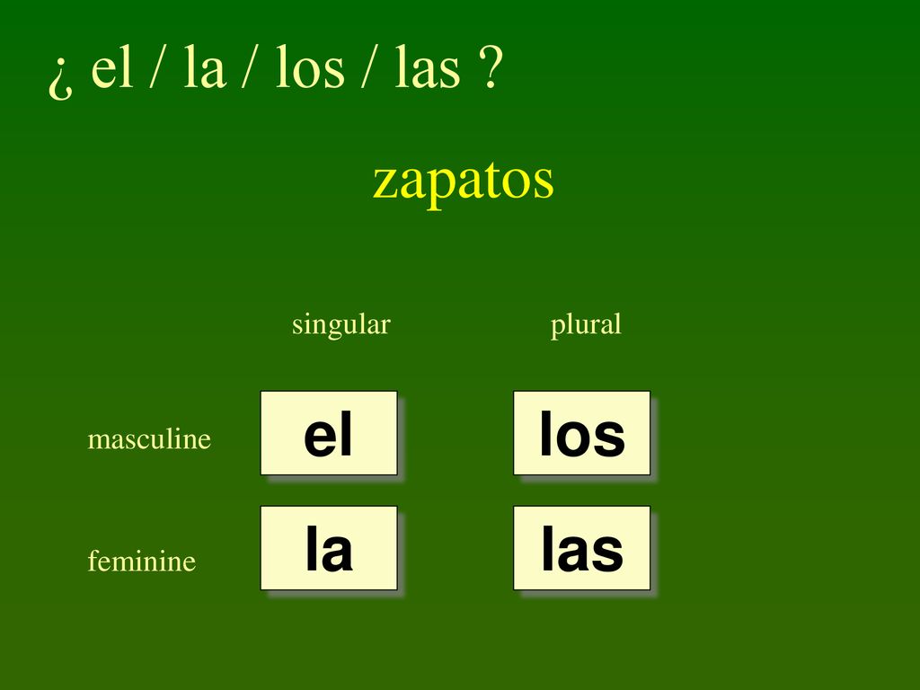 ¿ el / la / los / las zapatos el los la las singular plural