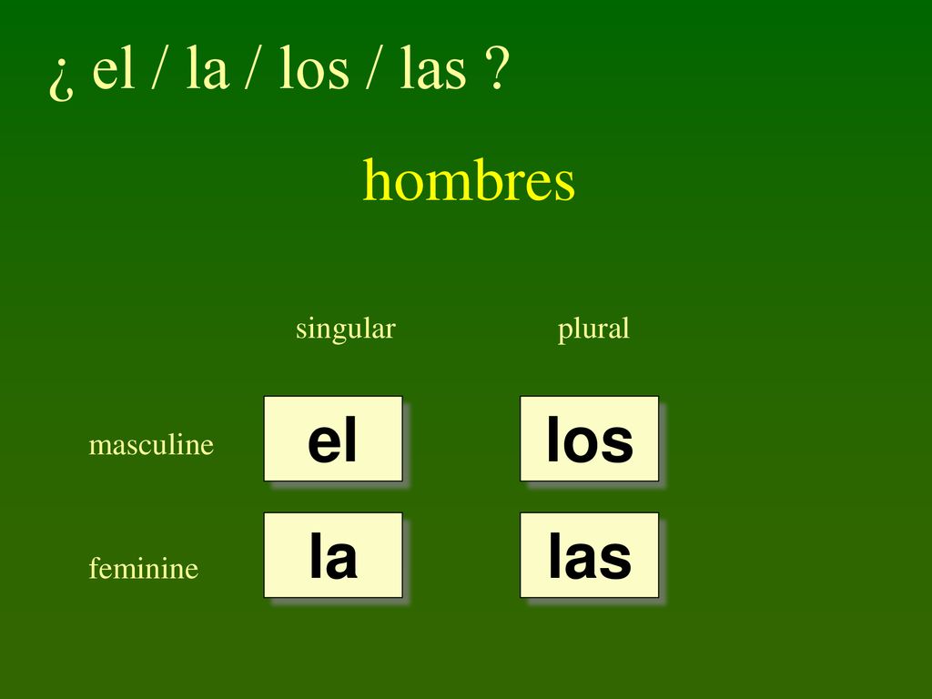 ¿ el / la / los / las hombres el los la las singular plural