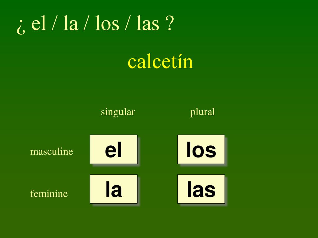 ¿ el / la / los / las calcetín el los la las singular plural