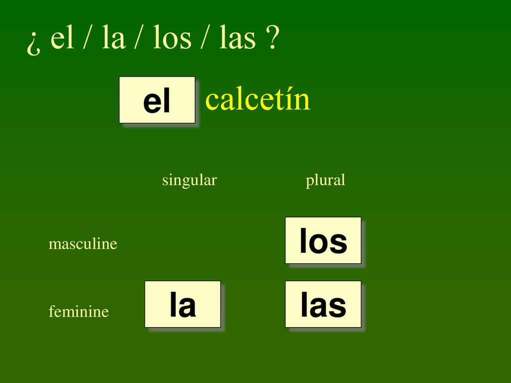 ¿ el / la / los / las calcetín el los la las singular plural