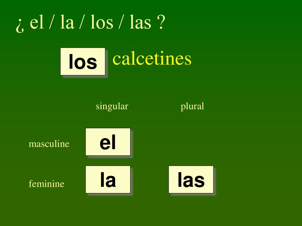 ¿ el / la / los / las calcetines los el la las singular plural