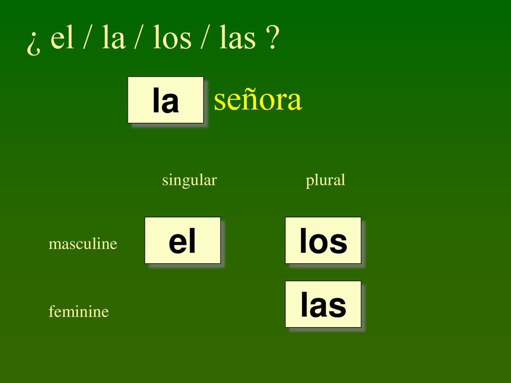 ¿ el / la / los / las señora la el los las singular plural masculine