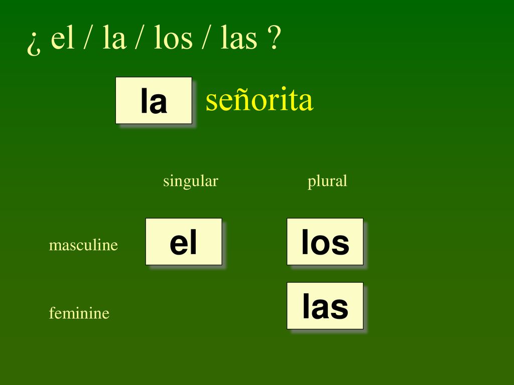 ¿ el / la / los / las señorita la el los las singular plural
