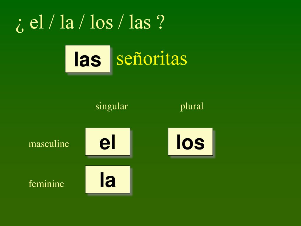 ¿ el / la / los / las señoritas las el los la singular plural