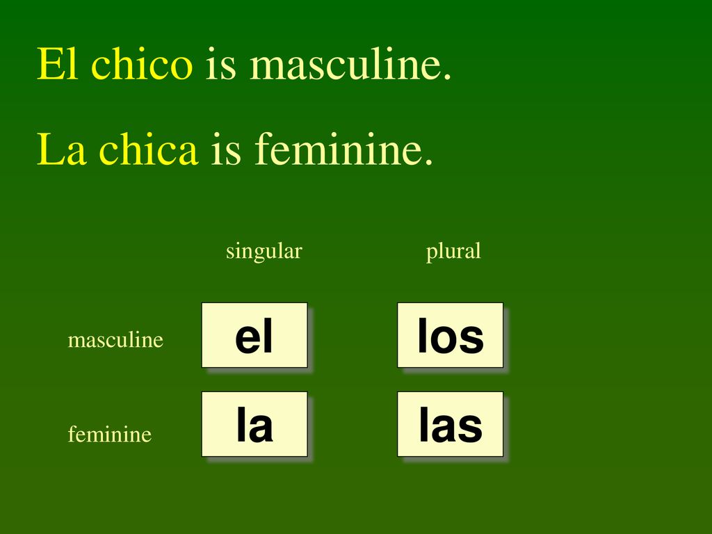 El chico is masculine. La chica is feminine. el los la las singular