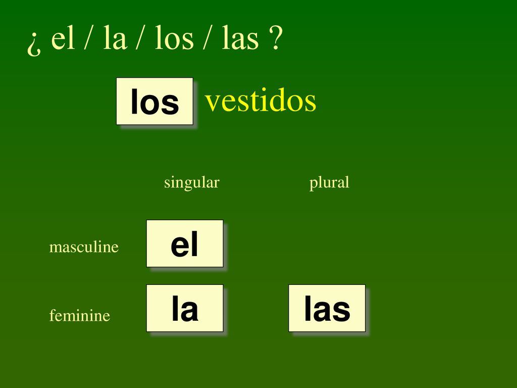 ¿ el / la / los / las vestidos los el la las singular plural